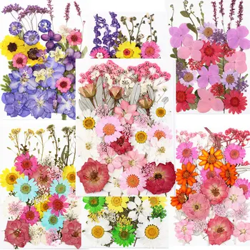Prírodné Sušené Kvety Mechanizmov Zberu Na Sklo Pohár Dekorácie Wholesales 4 Tašky
