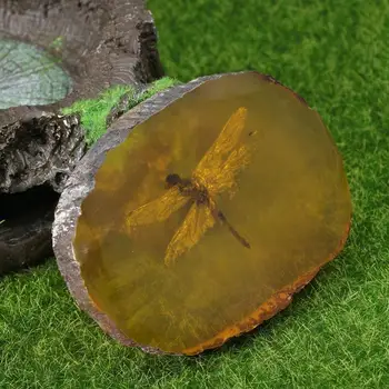 Domáce Remeslá Dekor Zbierku Čínskeho Krásne Amber Dragonfly Fosílneho Hmyzu Ručné Leštenie Vynikajúci Darček