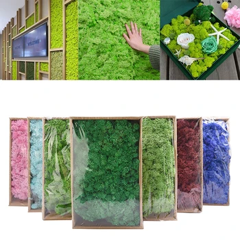 40 g Umelých Rastlín Večný Život Moss Mini Záhrada Micro Krajiny Príslušenstvo Domov Svadobné Dekorácie na Stenu DIY Kvet Materiál