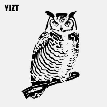 YJZT 10.1 CM*15,3 CM Eagle Owl Na Pobočke Vinyl Black/Silver Kvalitné Auto Nálepky C22-0980
