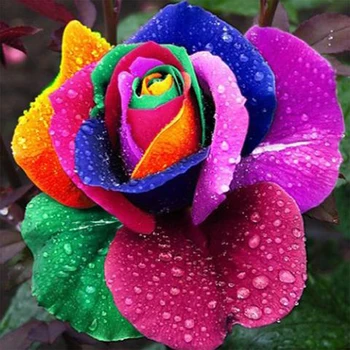 Farebné kvety plné vŕtanie námestie diy 5D diamond maľovanie cross stitch mozaiky drahokamu maľovanie na predaj dekorácie AA1100