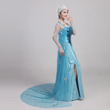 Top Kvalita Zákazku Elsa Kráľovná Dospelých Šaty Cosplay Kostým Na Halloween Ženy, Dievčatá Strana