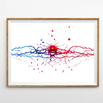 Nervová Akvarel Tlač Neurón Strom Umenie Neurológia Plagát , Anatómie Mozgu Medicíny Wall Art Plátno, Maľovanie Na Klinike Stenu Decor