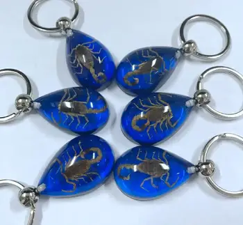 12 ks prírodné zlatá farba scorpio blue módny, elegantný keychain