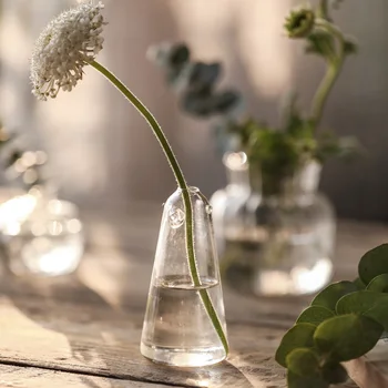 In Štýl Japonsko Čerstvé Mini Húb, Sklenené Vázy, Dekorácie Hydroponické Transparentné Jedálenský Stôl Malá Váza, Kvetinové Vázy Terária