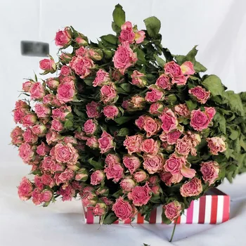 Prírodné Sušené kvety Nesmrteľný Multi-na čele Ruže 20 alebo 40 Hlavy/Veľa， Farebné Ruže Pre Svadobné Kytice Domov Izba Strany