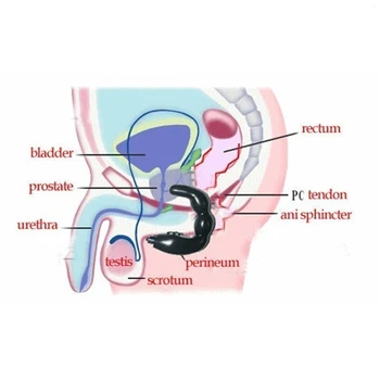 Prostaty Análny Zadok Plug masturbator pre mužov, U Typu Prostaty masér dildo pre muža, ženy Vibrátor G-spot Stimulácia Sex Produkt