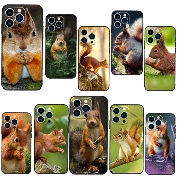 Veverička puzdro Pre iPhone 11 6 7 8 Plus Soft Telefón Kryt Pre iPhone XR X XS 12 13 Pro MAX Mini